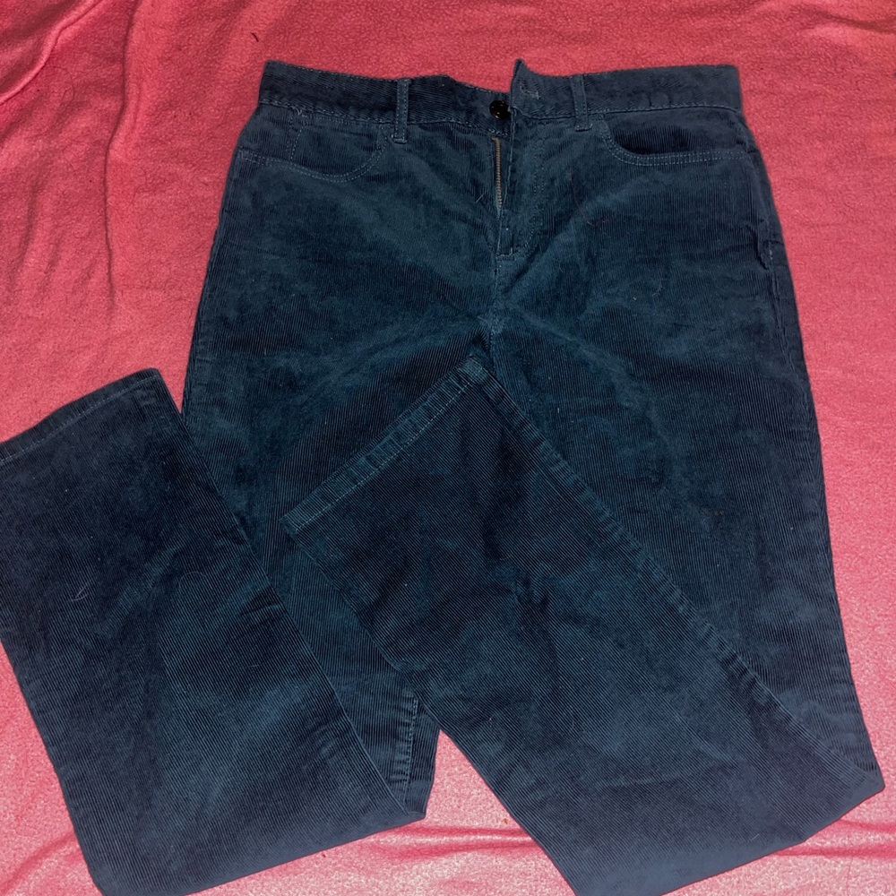gorgeous turquoise blue straight legged pants